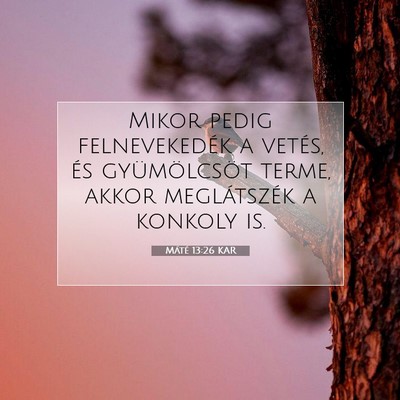 Picture 07 - Máté 13:26 KAR - Mikor pedig felnevekedék a vetés, és - Bible Verse Picture