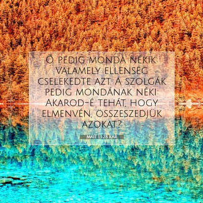 Picture 07 - Máté 13:28 KAR - Õ pedig monda nékik: Valamely ellenség - Bible Verse Picture