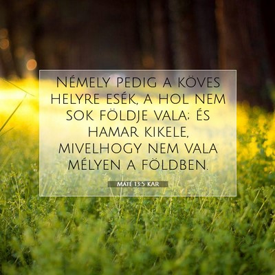 Picture 07 - Máté 13:5 KAR - Némely pedig a köves helyre esék, a hol nem - Bible Verse Picture