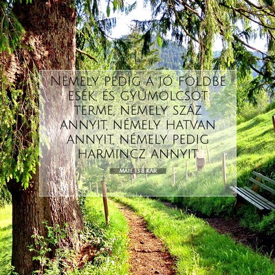 Picture 07 - Máté 13:8 KAR - Némely pedig a jó földbe esék, és - Bible Verse Picture