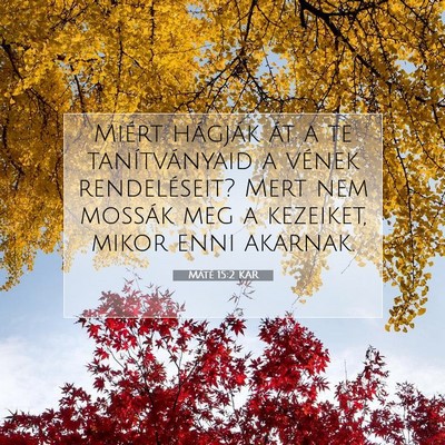 Picture 07 - Máté 15:2 KAR - Miért hágják át a te tanítványaid a vének - Bible Verse Picture