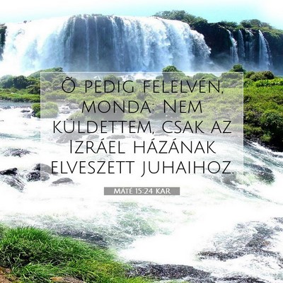 Picture 07 - Máté 15:24 KAR - Õ pedig felelvén, monda: Nem küldettem, csak - Bible Verse Picture
