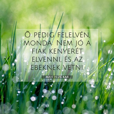 Picture 07 - Máté 15:26 KAR - Õ pedig felelvén, monda: Nem jó a fiak - Bible Verse Picture