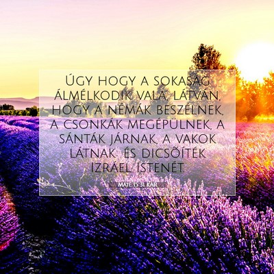 Picture 07 - Máté 15:31 KAR - Úgy hogy a sokaság álmélkodik vala, látván, - Bible Verse Picture