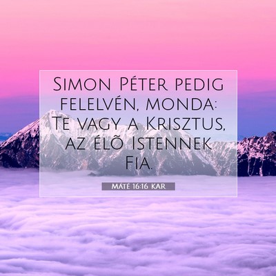 Picture 07 - Máté 16:16 KAR - Simon Péter pedig felelvén, monda: Te vagy a - Bible Verse Picture