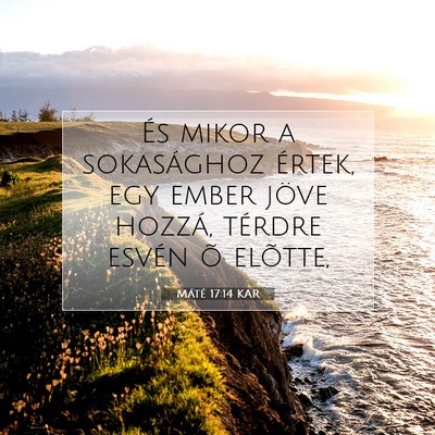 Picture 07 - Máté 17:14 KAR - És mikor a sokasághoz értek, egy ember jöve - Bible Verse Picture