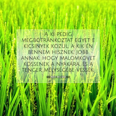 Picture 07 - Máté 18:6 KAR - A ki pedig megbotránkoztat egyet e kicsinyek - Bible Verse Picture