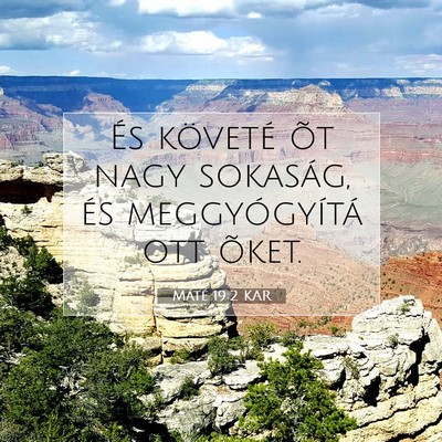 Picture 07 - Máté 19:2 KAR - És követé õt nagy sokaság, és - Bible Verse Picture
