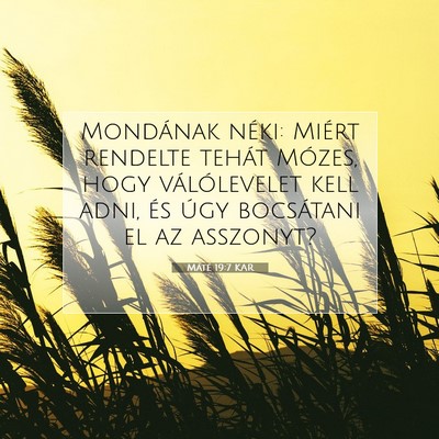 Picture 07 - Máté 19:7 KAR - Mondának néki: Miért rendelte tehát Mózes, - Bible Verse Picture