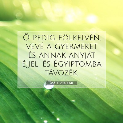 Picture 07 - Máté 2:14 KAR - Õ pedig fölkelvén, vevé a gyermeket és annak - Bible Verse Picture