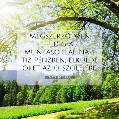 Picture 07 - Máté 20:2 KAR - Megszerzõdvén pedig a munkásokkal napi tíz - Bible Verse Picture