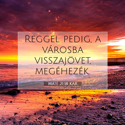 Picture 07 - Máté 21:18 KAR - Reggel pedig, a városba visszajövet, - Bible Verse Picture