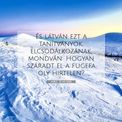 Picture 07 - Máté 21:20 KAR - És látván ezt a tanítványok, - Bible Verse Picture