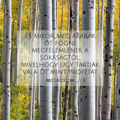 Picture 07 - Máté 21:46 KAR - És mikor meg akarák õt fogni, megfélemlének - Bible Verse Picture