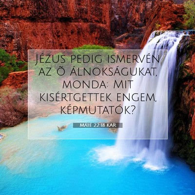 Picture 07 - Máté 22:18 KAR - Jézus pedig ismervén az õ álnokságukat, - Bible Verse Picture