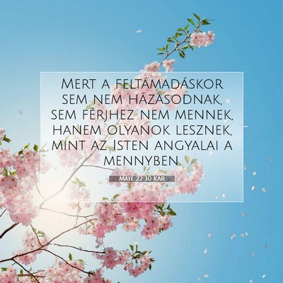 Picture 07 - Máté 22:30 KAR - Mert a feltámadáskor sem nem házasodnak, sem - Bible Verse Picture