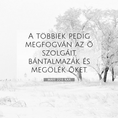 Picture 07 - Máté 22:6 KAR - A többiek pedig megfogván az õ szolgáit, - Bible Verse Picture