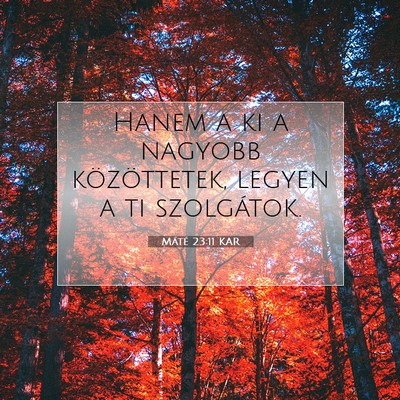 Picture 07 - Máté 23:11 KAR - Hanem a ki a nagyobb közöttetek, legyen a ti - Bible Verse Picture