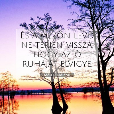 Picture 07 - Máté 24:18 KAR - És a mezõn levõ ne térjen vissza, hogy az õ - Bible Verse Picture