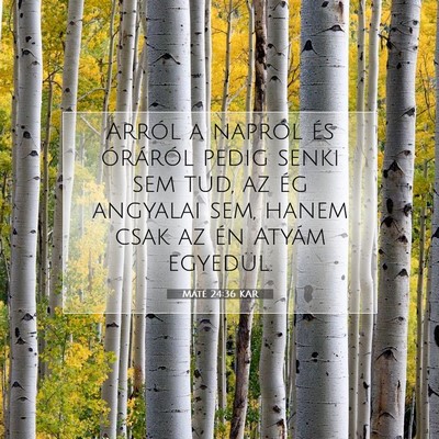 Picture 07 - Máté 24:36 KAR - Arról a napról és óráról pedig senki sem - Bible Verse Picture