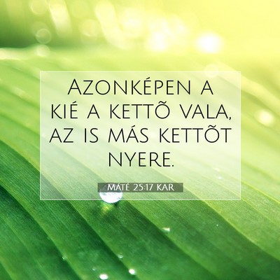 Picture 07 - Máté 25:17 KAR - Azonképen a kié a kettõ vala, az is más - Bible Verse Picture