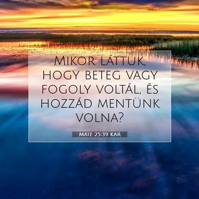 Picture 07 - Máté 25:39 KAR - Mikor láttuk, hogy beteg vagy fogoly voltál, - Bible Verse Picture