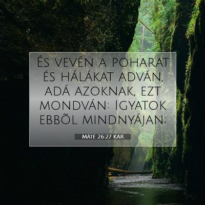 Picture 07 - Máté 26:27 KAR - És vevén a poharat és hálákat adván, adá - Bible Verse Picture