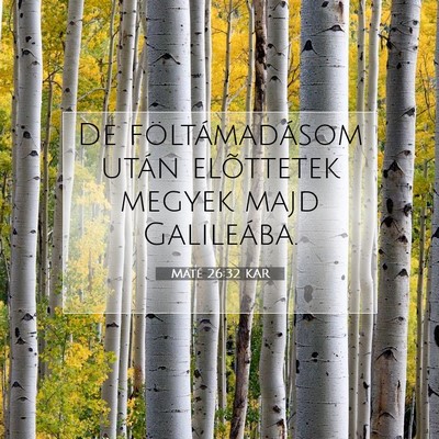 Picture 07 - Máté 26:32 KAR - De föltámadásom után elõttetek megyek majd - Bible Verse Picture
