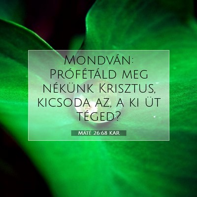 Picture 07 - Máté 26:68 KAR - Mondván: Prófétáld meg nékünk Krisztus, - Bible Verse Picture