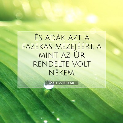 Picture 07 - Máté 27:10 KAR - És adák azt a fazekas mezejéért, a mint az - Bible Verse Picture
