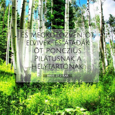 Picture 07 - Máté 27:2 KAR - És megkötözvén õt, elvivék, és átadák - Bible Verse Picture