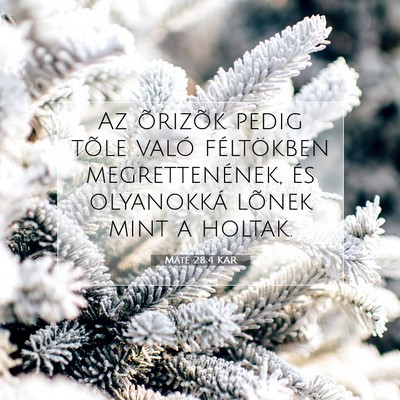 Picture 07 - Máté 28:4 KAR - Az õrizõk pedig tõle való féltökben - Bible Verse Picture