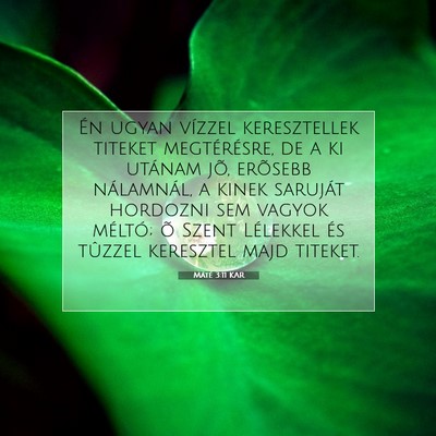 Picture 07 - Máté 3:11 KAR - Én ugyan vízzel keresztellek titeket - Bible Verse Picture
