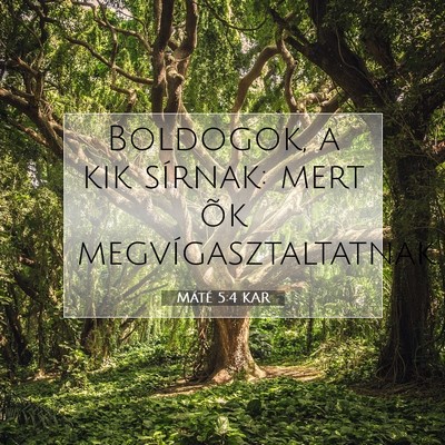 Picture 07 - Máté 5:4 KAR - Boldogok, a kik sírnak: mert õk - Bible Verse Picture