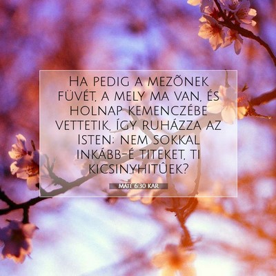 Picture 07 - Máté 6:30 KAR - Ha pedig a mezõnek füvét, a mely ma van, és - Bible Verse Picture
