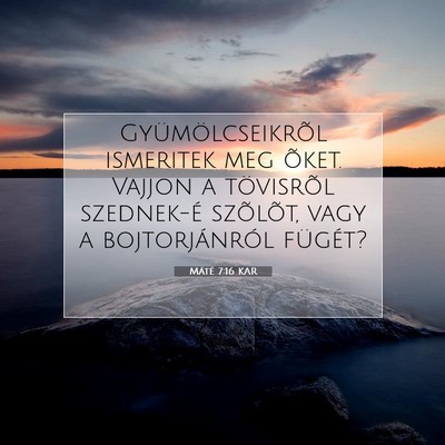 Picture 07 - Máté 7:16 KAR - Gyümölcseikrõl ismeritek meg õket. Vajjon a - Bible Verse Picture