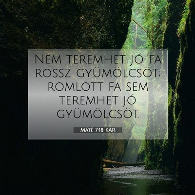 Picture 07 - Máté 7:18 KAR - Nem teremhet jó fa rossz gyümölcsöt; romlott - Bible Verse Picture