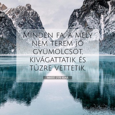 Picture 07 - Máté 7:19 KAR - Minden fa, a mely nem terem jó gyümölcsöt, - Bible Verse Picture
