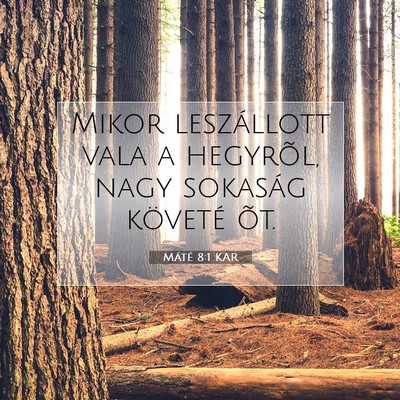 Picture 07 - Máté 8:1 KAR - Mikor leszállott vala a hegyrõl, nagy sokaság - Bible Verse Picture