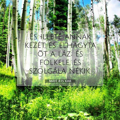 Picture 07 - Máté 8:15 KAR - És illeté annak kezét, és elhagyta õt a - Bible Verse Picture