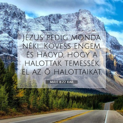 Picture 07 - Máté 8:22 KAR - Jézus pedig monda néki: Kövess engem, és - Bible Verse Picture