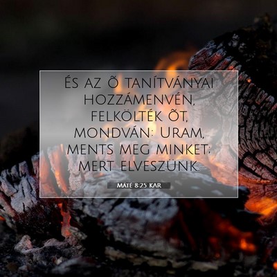 Picture 07 - Máté 8:25 KAR - És az õ tanítványai hozzámenvén, - Bible Verse Picture