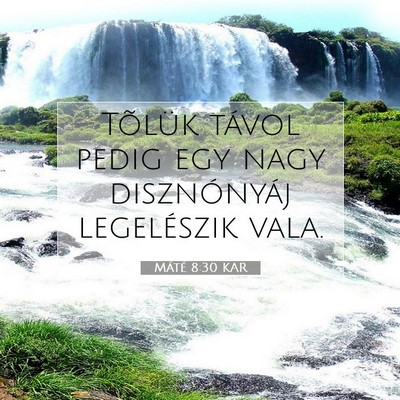 Picture 07 - Máté 8:30 KAR - Tõlük távol pedig egy nagy disznónyáj - Bible Verse Picture