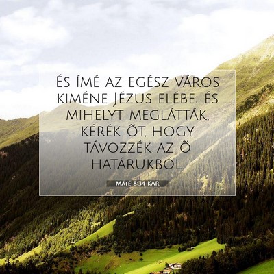 Picture 07 - Máté 8:34 KAR - És ímé az egész város kiméne Jézus elébe; - Bible Verse Picture