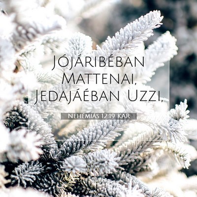 Picture 07 - Nehémiás 12:19 KAR - Jójáribéban Mattenai, Jedajáéban - Bible Verse Picture