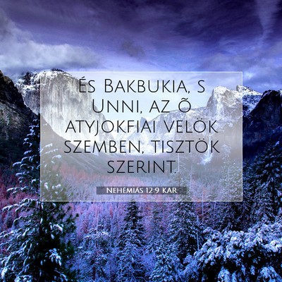 Picture 07 - Nehémiás 12:9 KAR - És Bakbukia, s Unni, az õ atyjokfiai velök - Bible Verse Picture