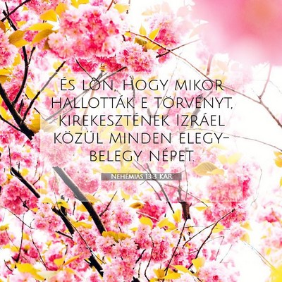 Picture 07 - Nehémiás 13:3 KAR - És lõn, hogy mikor hallották e törvényt, - Bible Verse Picture
