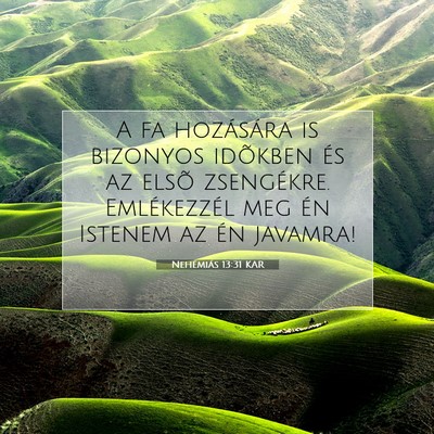 Picture 07 - Nehémiás 13:31 KAR - A fa hozására is bizonyos idõkben és az elsõ - Bible Verse Picture