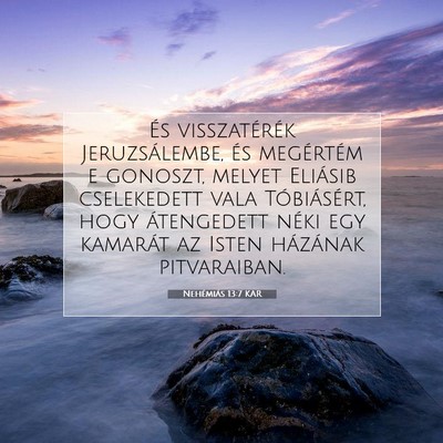 Picture 07 - Nehémiás 13:7 KAR - És visszatérék Jeruzsálembe, és megértém e - Bible Verse Picture