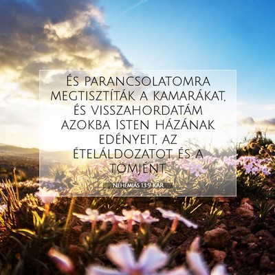 Picture 07 - Nehémiás 13:9 KAR - És parancsolatomra megtisztíták a kamarákat, - Bible Verse Picture